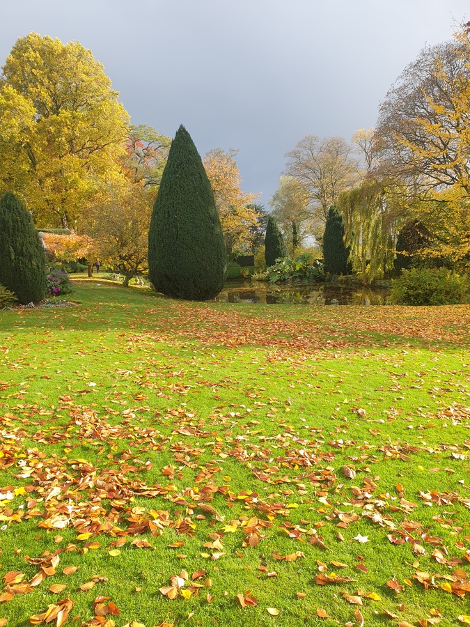 Autumn Glory at Coton